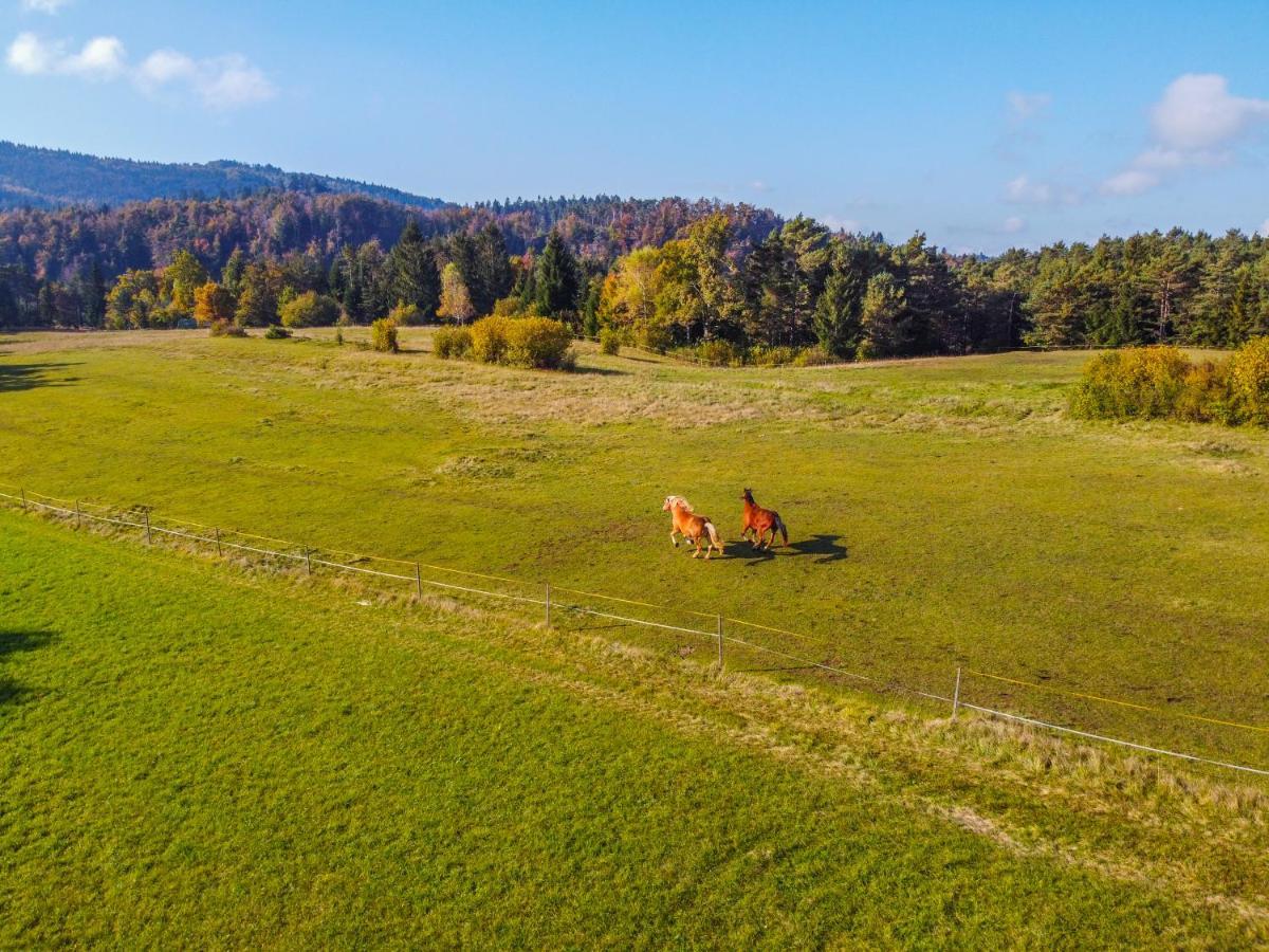 Notranjska Hisa - Traditional Country House, Close To The World Attraction Cerknica Lake Begunje pri Cerknici Luaran gambar