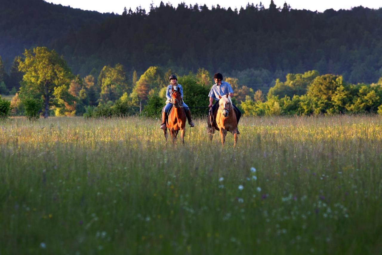 Notranjska Hisa - Traditional Country House, Close To The World Attraction Cerknica Lake Begunje pri Cerknici Luaran gambar