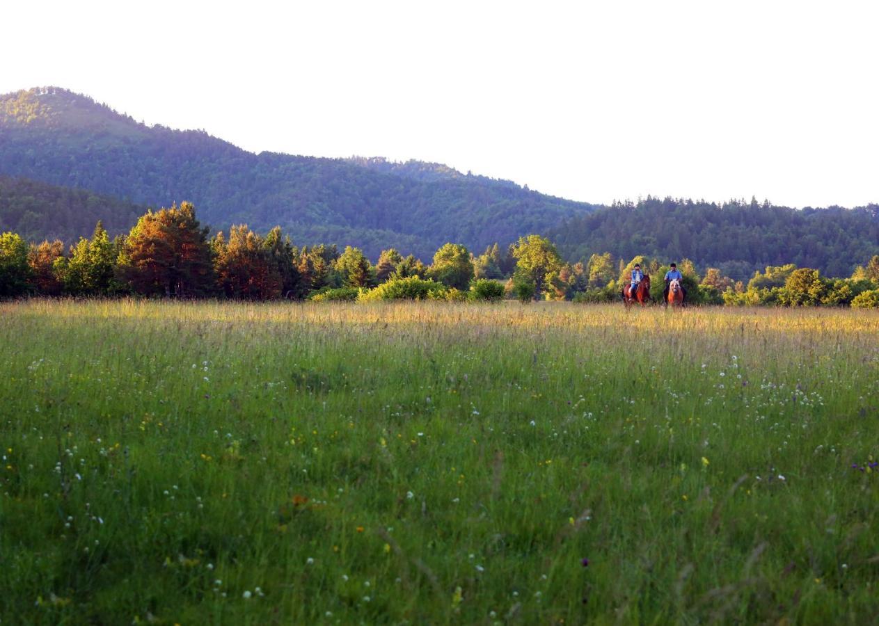 Notranjska Hisa - Traditional Country House, Close To The World Attraction Cerknica Lake Begunje pri Cerknici Luaran gambar