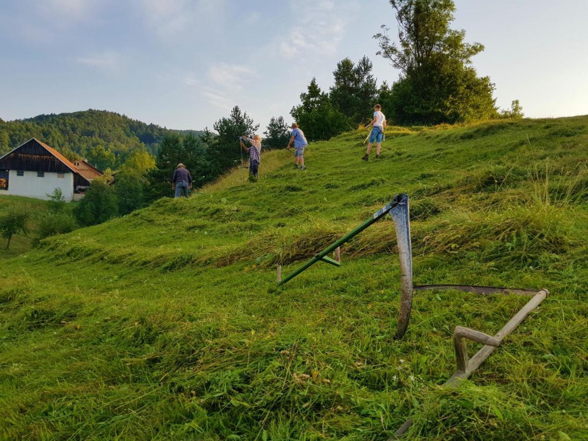 Notranjska Hisa - Traditional Country House, Close To The World Attraction Cerknica Lake Begunje pri Cerknici Luaran gambar