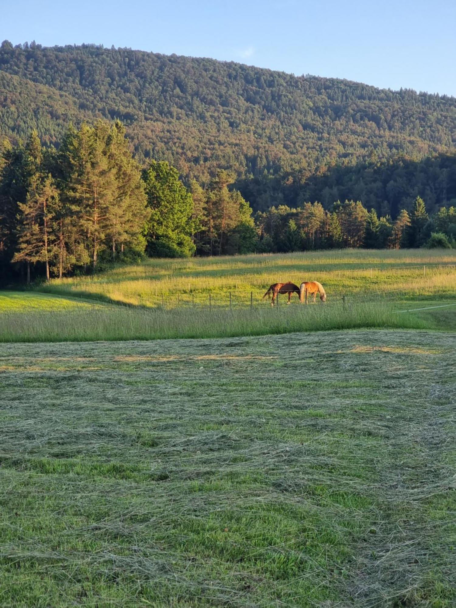 Notranjska Hisa - Traditional Country House, Close To The World Attraction Cerknica Lake Begunje pri Cerknici Luaran gambar